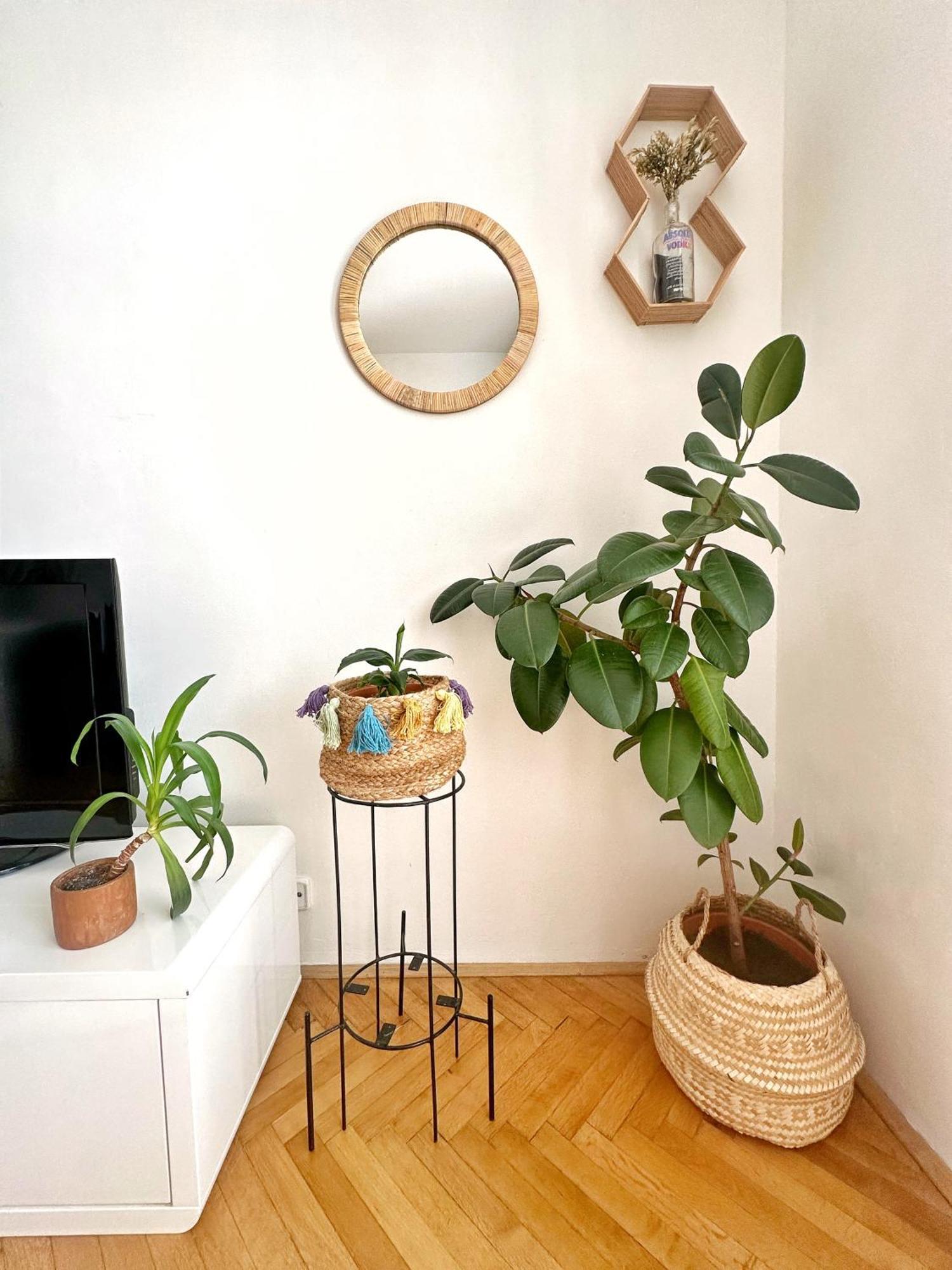 Bright And Central Suite With A Balcony 브르노 외부 사진